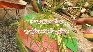 แซลมอนต้มซีอิ้วเขียว ;Dโอชากัญ Ep55