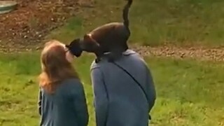 I heard pets also count as the Palace of Children.