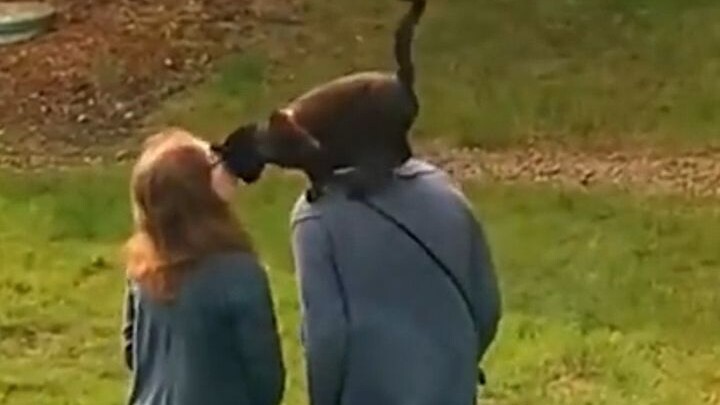 I heard pets also count as the Palace of Children.