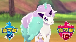 《宝可梦 盾》小火马（伽勒尔的样子）