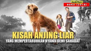 Kisah Anjing Liar Yang Berkorban Demi Menyelamatkan Sahabat Sejati | Alur Cerita Film BENJI (2018)