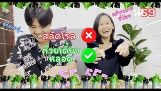 เมนูหลอกดาว : สลัดโรลหรือก๋วยเตี๋ยวหลอดแยกไม่ออกบอกไม่ถูก