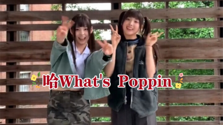 韩女团NMIXX翻跳中国男团BOYSTORY前辈的新歌《哈What's Poppin》，师兄师妹联动