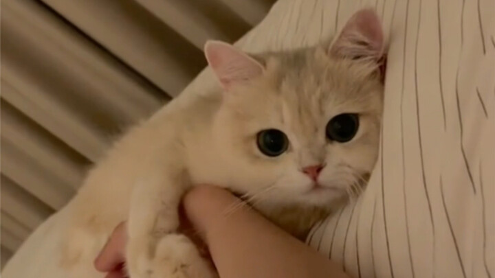 كيف أروح الشغل هيك يا جماعة؟