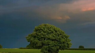 Nature heals