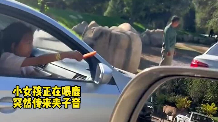 A roundup of moments that leave kids speechless: “I’m so done! This generation of adults is just too