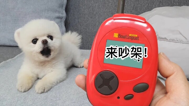 [Chinese Subtitles] The RuPong Family | A dog-translation device reveals Pongki’s ramblings: “Here? 