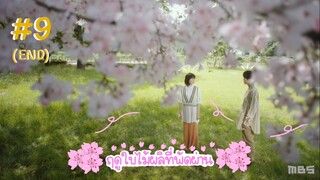 (ซับไทย) ฤดูใบไม้ผลิที่พัดผ่าน ตอนที่ 9 (END)
