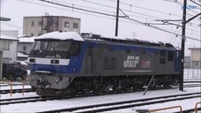 ゆきのワンダーランド