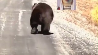 Keliatannya kayak "ton ton ton" deh!