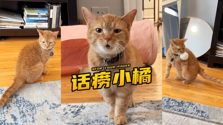 Si cerewet Xiao Ju setiap hari selalu punya banyak hal untuk diceritakan 🍊📣