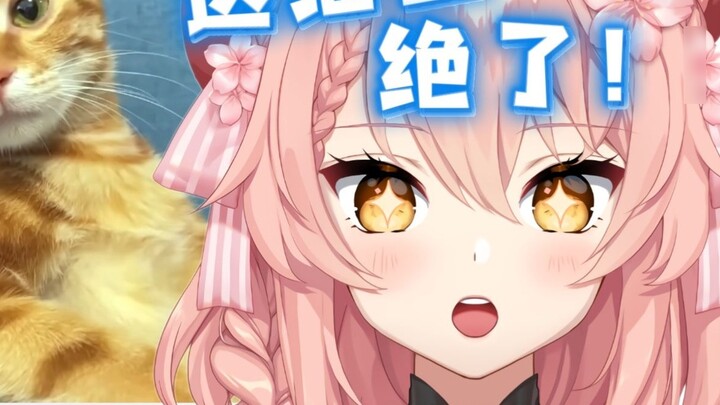 Foreign cats look at each other and say that their lives are more comfortable than humans! [Hiiro]