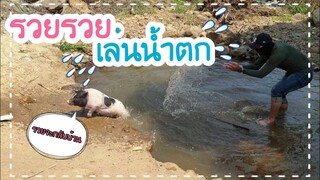 แช่น้ำโคลนก็ต้องมาแช่น้ำตกด้วยนะ🐷รวย🤣🐖