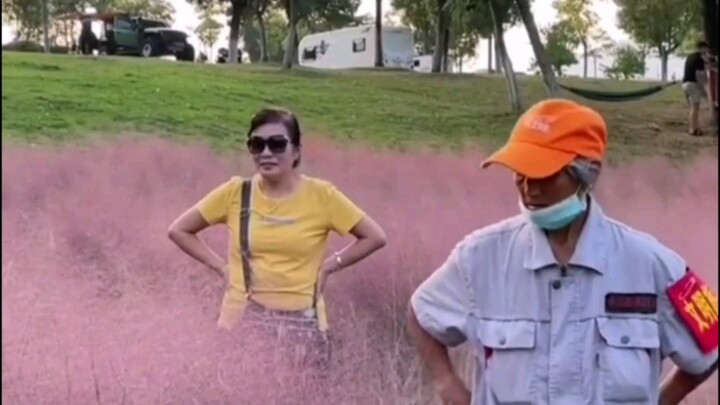 An elderly woman tramples a trendy Instagram‑worthy grassland to take photos, despite repeated warni