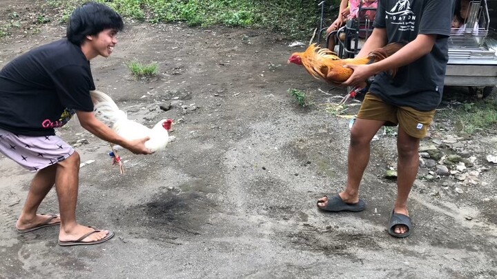 2025 August 28 spar.