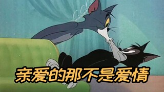 “汤姆那不是爱情”