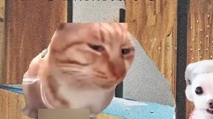 Có vẻ như vừa rồi nó không còn hot nữa, có vẻ như nó vẫn chưa bị lãng quên.