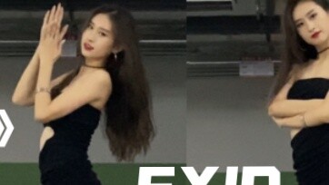 [Taro Balls] Short skirt with long boots shake shake shake ~ "DDD" EXID full song cover