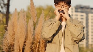 [Kèn Harmonica mười lỗ] Nếu chiếc lá rụng của bạn không có rễ, sợi đơn sẽ không kết thành sợi chỉ, v