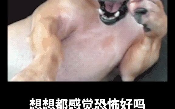 Game NetEase dalam seminggu terakhir benar‑benar heboh! Sungguh tak masuk akal!