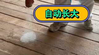 这个东西看起来也太神奇了吧