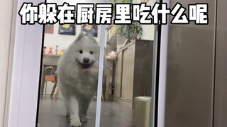 想背着小狗狗吃点东西也太难了吧！