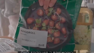 cách làm Plant Ball Salad 1 #food