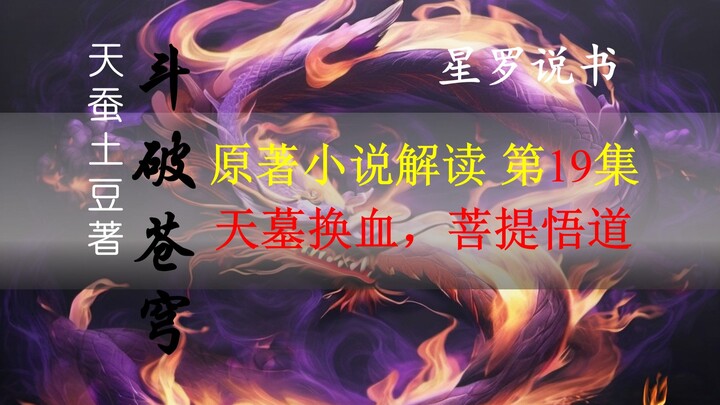 【星罗说书】斗破苍穹原著小说解说，第十九集，天墓换血，菩提悟道！