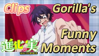 [The Fruit of Evolution]Clips |Gorilla's Funny Moments