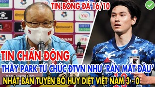 TIN CHẤN ĐỘNG: THẦY PARK TỪ CHỨC ĐTVN NHƯ "RẮN MẤT ĐẦU", NHẬT BẢN TUYÊN BỐ HỦY DIỆT VIỆT NAM 3-0