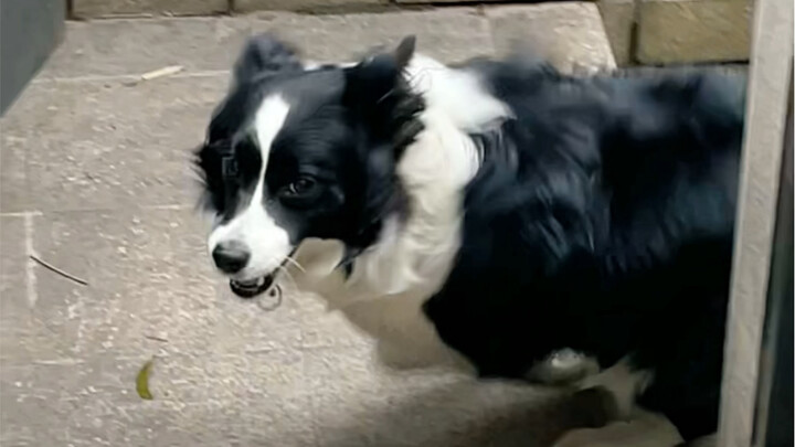 The usual moves of “plastic sisters”