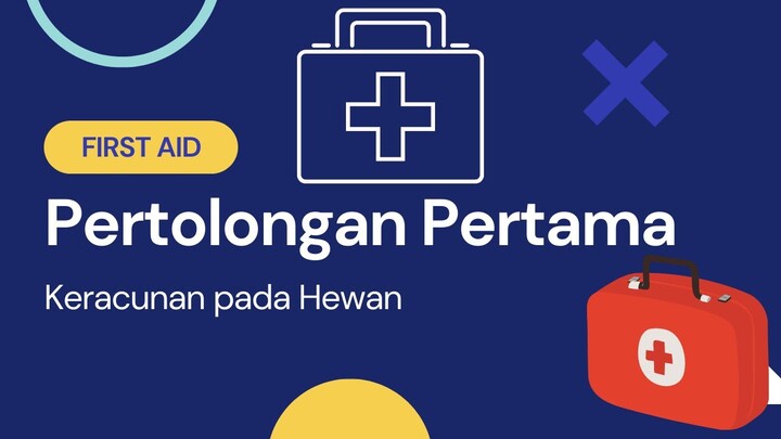 Pertolongan Pertama Keracunan pada Hewan