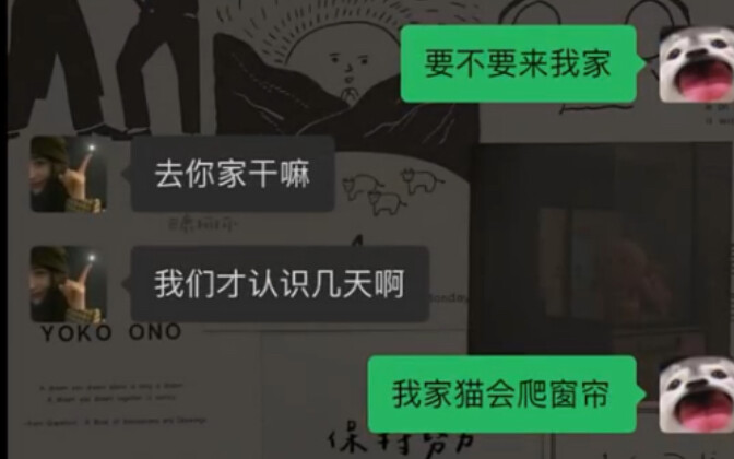 Kucing di Rumahku Bisa Memanjat Tirai