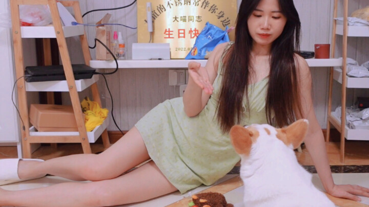 An absurd yet reasonable relationship has been established.