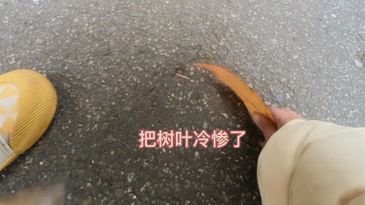 宝宝视角：原来蜡笔小新不是梗，是写实啊，你回来了！