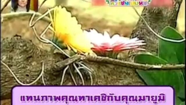 ทีวีแชมเปี้ยน (TV Champion): ภารกิจวิวาห์ดอกไม้
