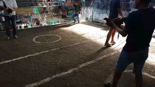 NGCCA 3rd Fyt Champion Umaga na