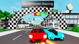 NEW RACE UPDATE IN BROOKHAVEN! (Roblox)