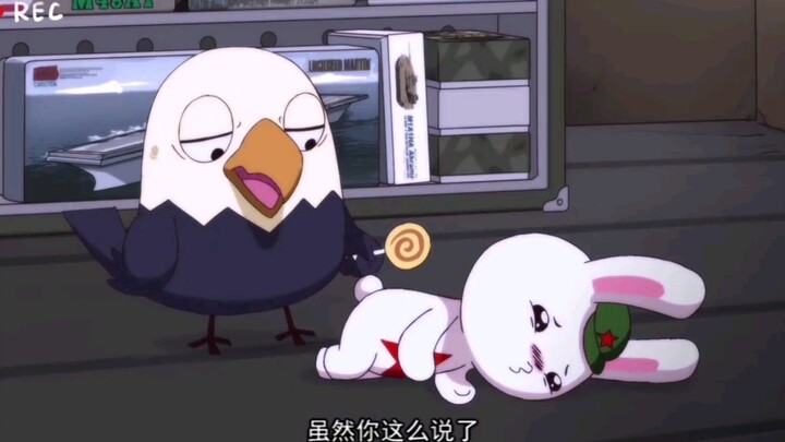 兔子和鹰酱正过蜜月期，改完飞姬之后就翻脸不认人，拉起小弟对抗兔子😂