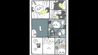 【公式】『ちいかわ』 #1