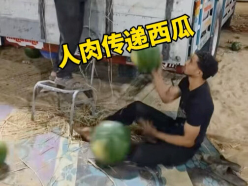 Human-powered watermelon transport is so fast!