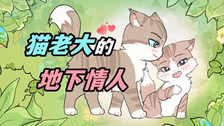 猫小弟：猫老大神秘消失，居然是独自去……