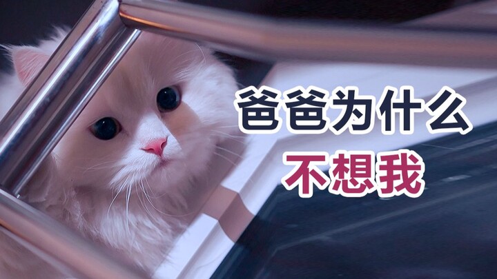 "Bukannya Ayah tidak merindukanmu, tapi Ayah takut kalau Ayah bilang merindukanmu, kamu malah semaki