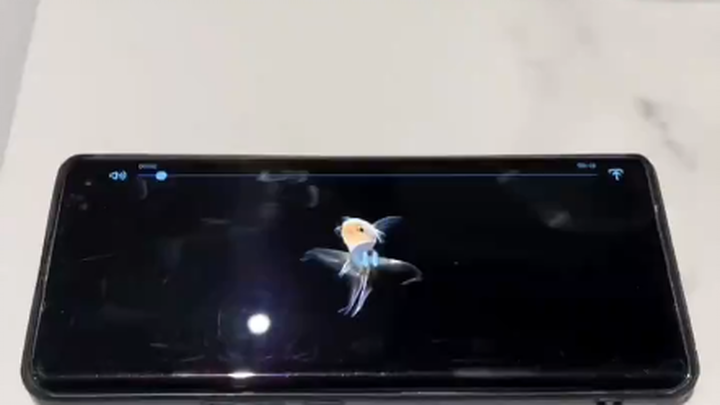 Retweet: Affordable 3D Holographic Device