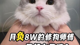 Immersive experience: A dog groomer earning -80,000 yuan per month—what does their day look like?