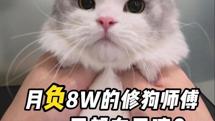 沉浸式体验月负8万修狗师傅的一天！