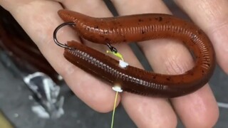 باستخدام هذا الطعم، من المستحيل ألا تصطاد سمكة.