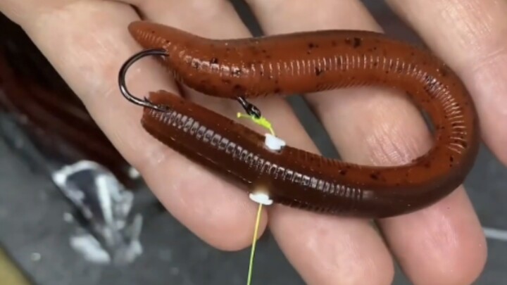 用了这个钓饵，不可能钓不到鱼