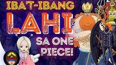 Lahat ng Race sa One Piece