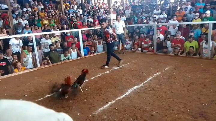 1st fight win ☝️